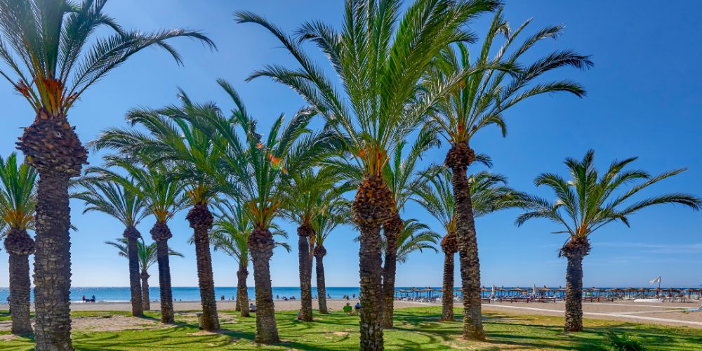 Estepona