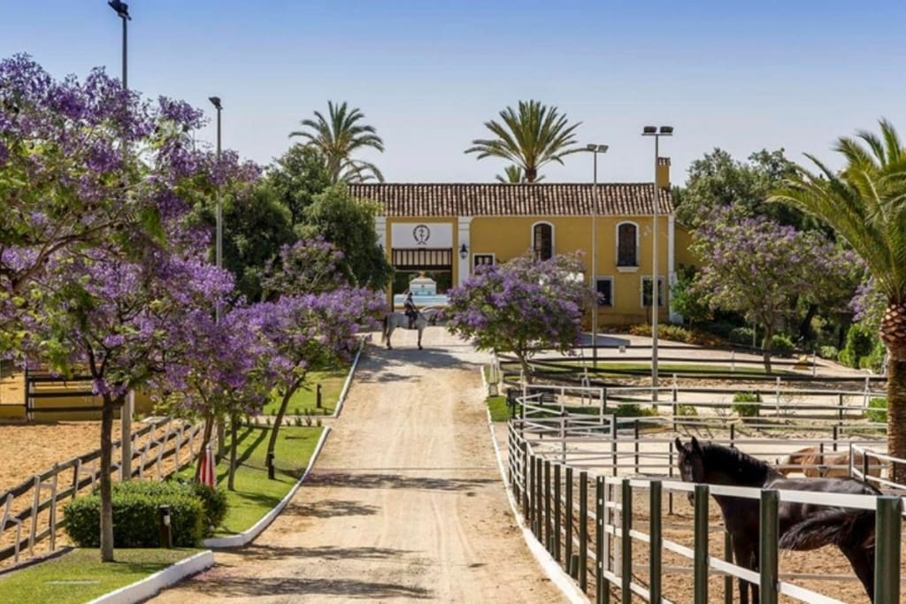 A breathtaking view of La Zagaleta, showcasing its luxurious villas, golf courses, equestrian facilities, and pristine natural surroundings in the hills of Benahavís, Costa del Sol.